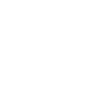 spinasweb-senf